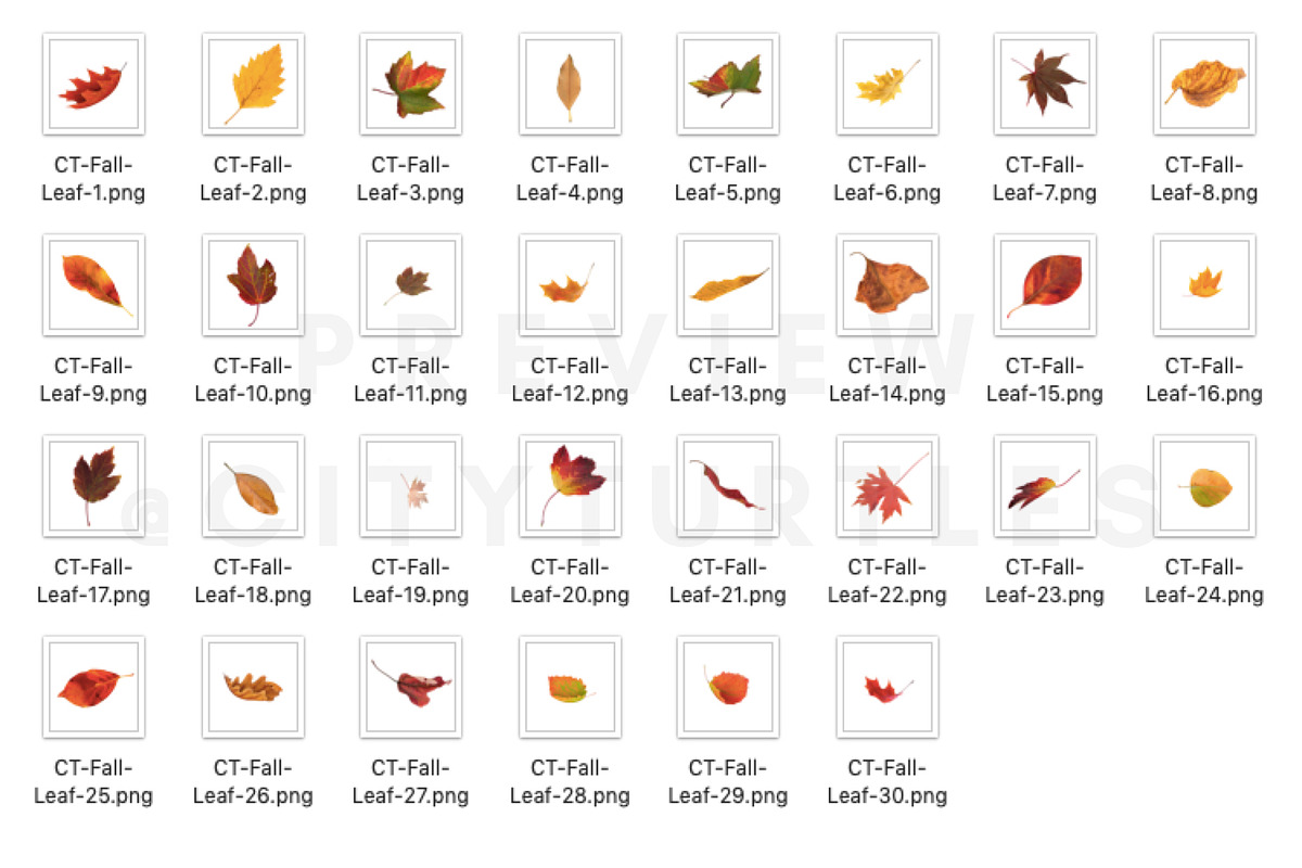 70 Natural Falling Leaf Overlays, a Layer Style Add-On by CityTurtles (Photo 9 of 9)