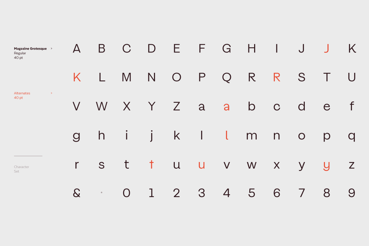 Magazine Grotesque, a Sans Serif Font by Latinotype (Photo 15 of 15)