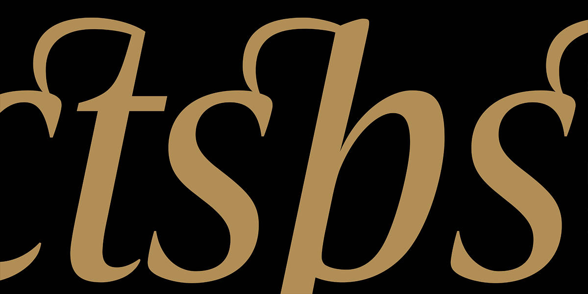 Candide Condensed, a Serif Font by Hoftype (Photo 9 of 10)