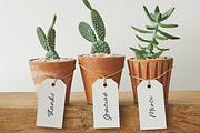 California Dreaming Script & Sans, a Handwritten Font by Callie Rian & Co. (Thumbnail 13 of 19)