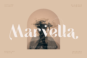 Marvella Ligature Typeface