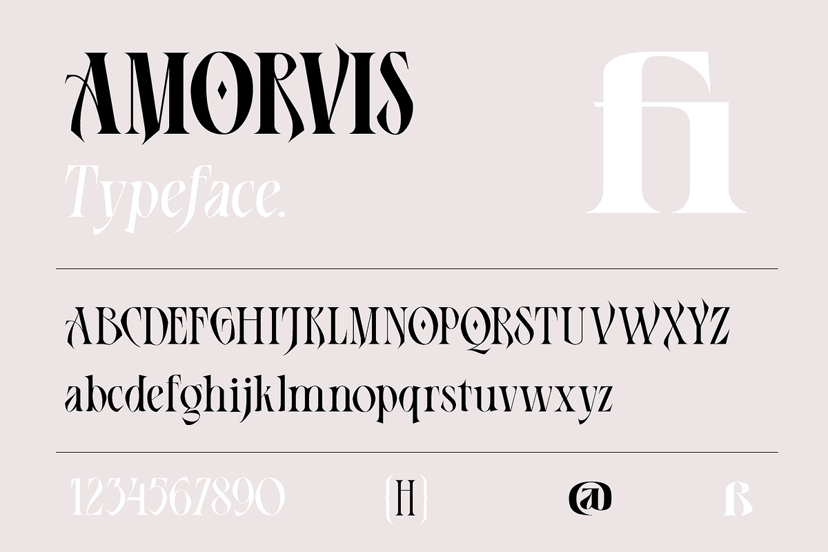 Amorvis, a Serif Font by Naksatra (Photo 11 of 13)
