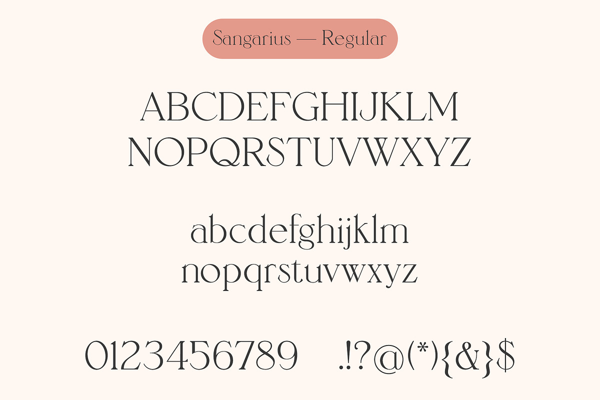 Sangarius // A Chic Serif Typeface, a Serif Font by Megs Lang (Photo 14 of 15)