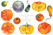Fruit & Vegetable Watercolor Bundle, a Decorative Illustration by Olga Begak Art & Design (Thumbnail 4 of 13)