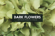 Dark Flowers - Stock Photos, a Nature Photo by outlinez (Thumbnail 7 of 8)