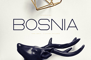 Bosnia - Sans Serif font | 2 styles, a Sans Serif Font by VP Fonts