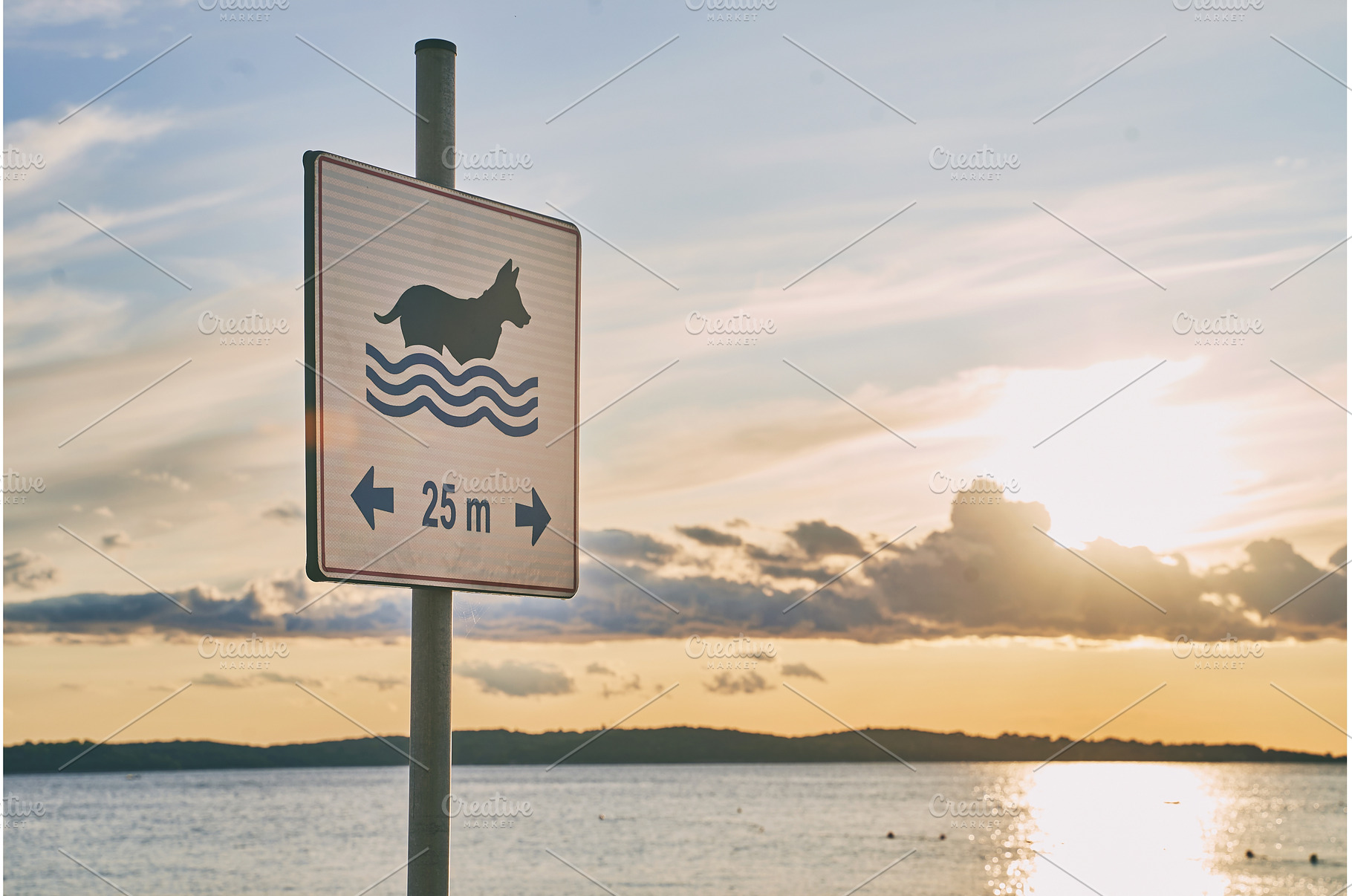 Dog friendly beach sign at sunset, a Nature Photo by Oleksandr Berezko