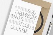 Brafteng Variable Font, a Serif Font by Alcode (Thumbnail 13 of 18)