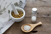Chamomile Herb & Homeopathic Medicin, a Health & Medical Photo by Wellness Stock Market (Thumbnail 2 of 2)