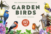 Garden Birds Watercolor Clipart, an Animal Illustration by AnitaPol (Thumbnail 1 of 21)