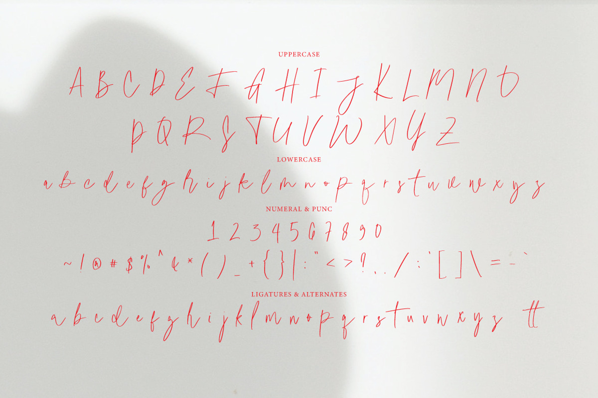 Boiled Peanuts - Casual Signature, a Font by tebaltipislab (Photo 8 of 10)