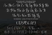 Signature, a Handwritten Font by FreshTypeINK (Thumbnail 3 of 8)