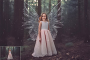 Angel Wings Overlays, a Photo by HappyNews (Thumbnail 10 of 11)