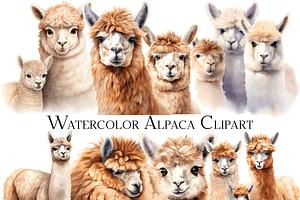 Watercolor Alpaca Clipart