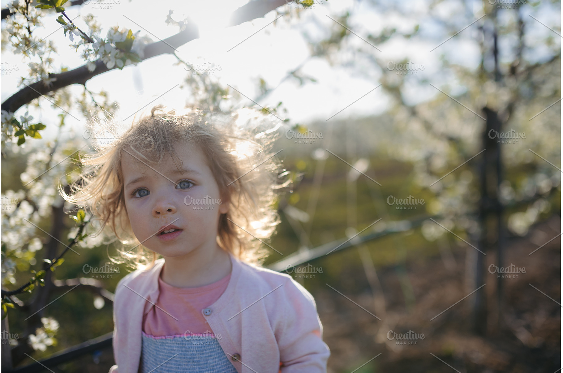 Small toddler girl standing outdoors, a Person Photo by HalfPoint
