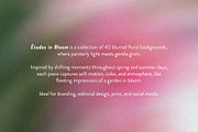Etudes in Bloom - Blurry Backgrounds, a Background Graphic by Dina Mae (Thumbnail 2 of 13)