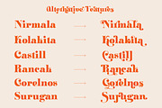 ZT Klotin - Display Typeface, a Serif Font by zelow type (Thumbnail 15 of 15)