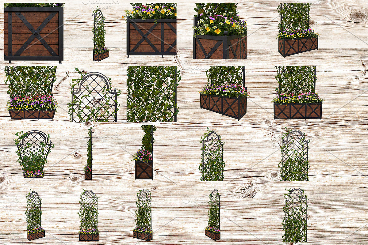 Pergola with flowers, a Nature Photo by Tempera (Photo 2 of 2)