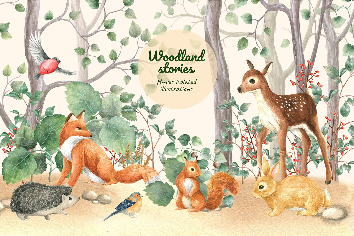 Woodland stories watercolor set, an Animal Illustration by Lososenok (Photo 1 of 12)