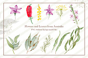 Watercolor Koala Collection, an Illustration by TanataDesign (Thumbnail 3 of 10)