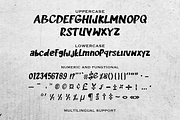 GARDINAL Textured Brush Script Font, a Font by RHD Creative Studio (Thumbnail 9 of 9)