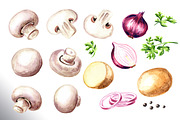Mushrooms. Watercolor collection, a Food Illustration by Daria Ustiugova (Thumbnail 7 of 7)