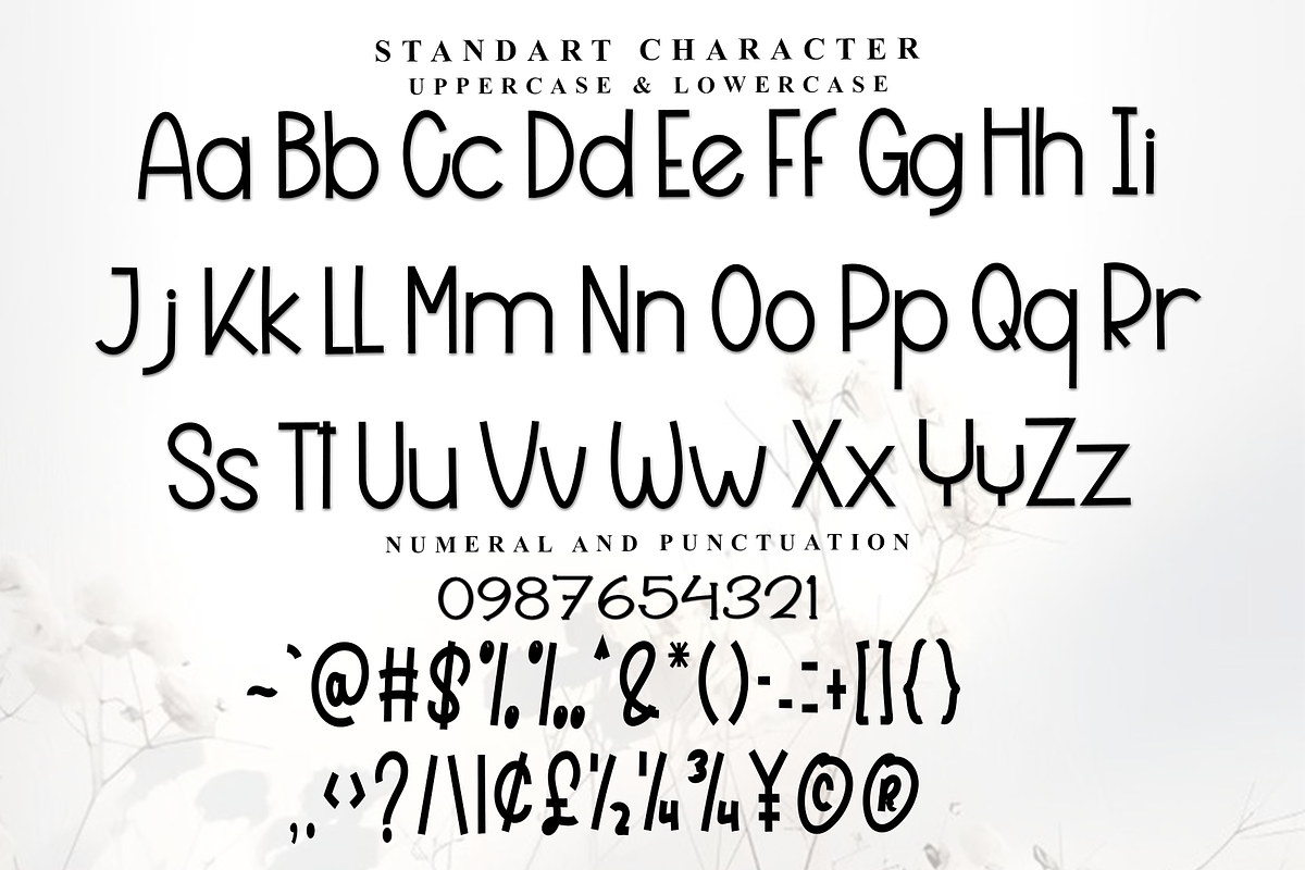 Beach Mango, a Sans Serif Font by InermediaSTUDIO (Photo 5 of 7)