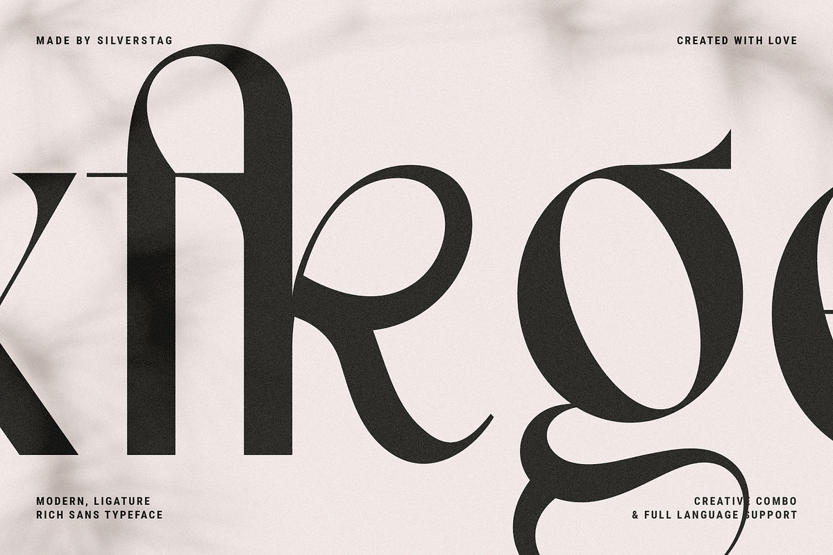 FRENCH CHATEAUX - Chic Display Font, a Sans Serif Font by SilverStag Type Foundry (Photo 6 of 22)