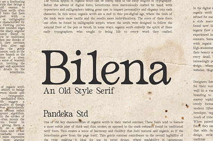 Bilena - Old Style Serif, a Serif Font by Pandeka Studio