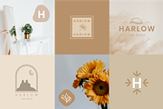 Harlow Premade Logo Kit, a Branding & Logo Template by Forth and Wild (Thumbnail 3 of 10)