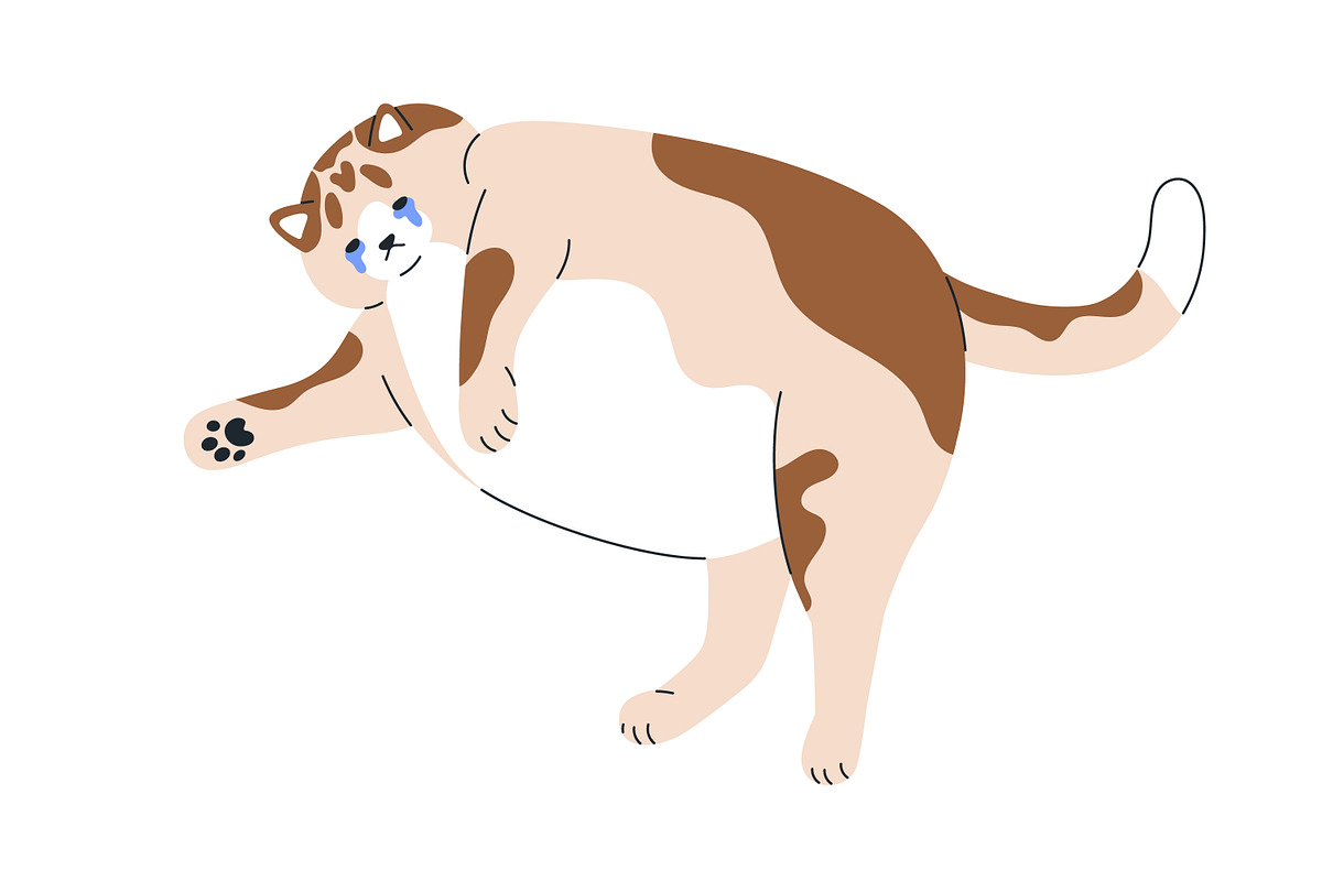 Cute, funny, comic cats. Cartoon set, an Animal Illustration by Good Studio (Photo 5 of 20)