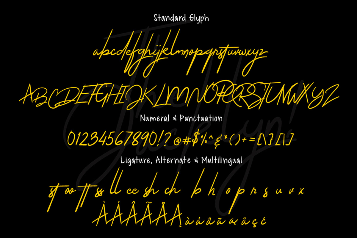 The Jacklyn Signature Business Font preview 7
