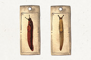 Vintage Mushrooms & Snails Clip Art, an Animal Illustration by Patterns for Dessert (Thumbnail 4 of 6)