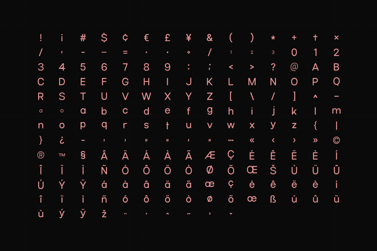 Ariex Nue - A Minimal Sans-serif, a Sans Serif Font by Webhance Studio (Photo 12 of 12)