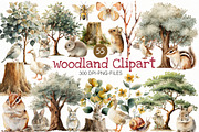 Watercolor woodland Clipart, an Illustration by Designworld (Thumbnail 1 of 8)