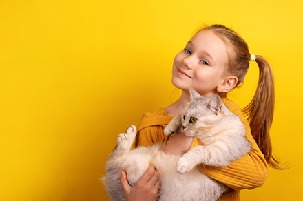 Happy young girl in a mustard sweater holding a fluffy cat and s