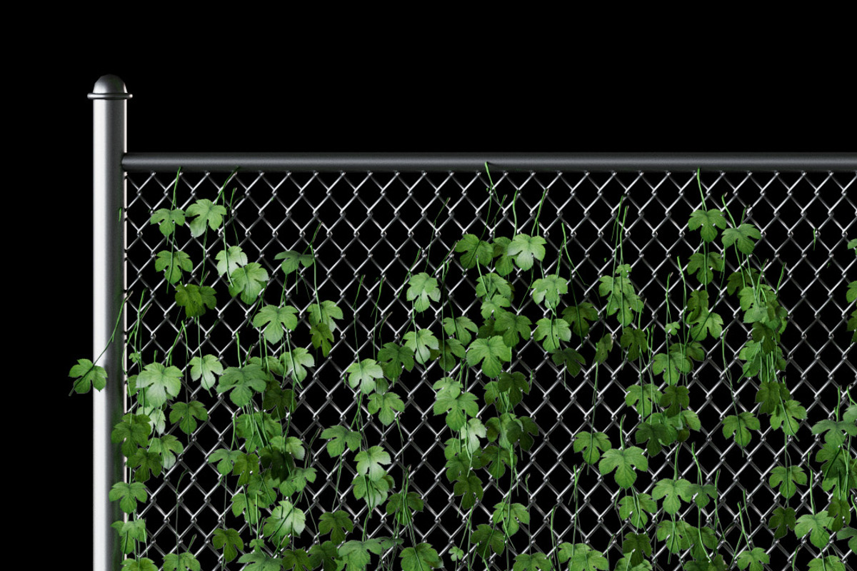 Hop leaves on the fence 3d model, an Architecture 3D Model by rnax (Photo 4 of 4)