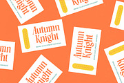 Agnofy Rusting Bold Tall Serif Font, a Serif Font by timelesstype.co (Thumbnail 17 of 20)