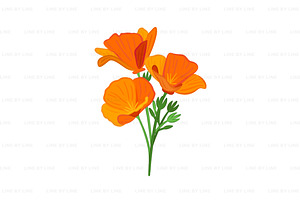 California Poppy Flower Vector, a Decorative Illustration by LineByLine
