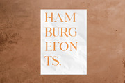 Queenstown serif font, a Serif Font by Emyself Design (Thumbnail 10 of 11)