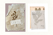 PNG Wrinkled Glued Paper Pack, an Object Graphic by Marie T (Thumbnail 2 of 16)