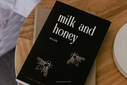 Elynior Katalis Display Elegant Font, a Serif Font by Denustudios (Thumbnail 11 of 15)