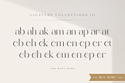 abigail - unique ligature font, a Serif Font by Sensatype (Thumbnail 5 of 32)