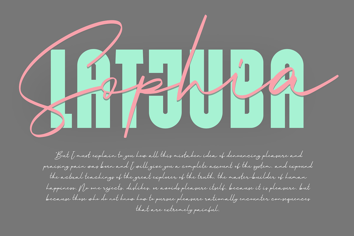 Sansuy Font Duo Script Sans Typeface, a Sans Serif Font by Maulana Creative (Photo 6 of 6)