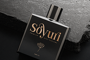 Branck - Modern Luxury Logo Font, a Serif Font by Sensatype (Thumbnail 5 of 12)