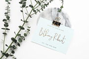 Alchemila Script, a Script Font by Chocotype Std (Thumbnail 2 of 16)