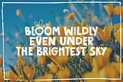 Cheerful Scribble – Quirky Display, a Handwritten Font by shineink.designlab (Thumbnail 5 of 12)