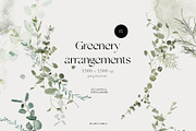 GREEN FOLIAGE - greenery & gold set, a Decorative Illustration by Grace Noboa Illustrations (Thumbnail 3 of 10)