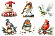 Watercolor Christmas Birds Clipart, an Illustration by Craft Nest (Thumbnail 5 of 6)