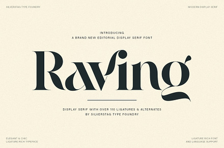 Raving Display Editorial Serif Font, a Serif Font by SilverStag Type Foundry